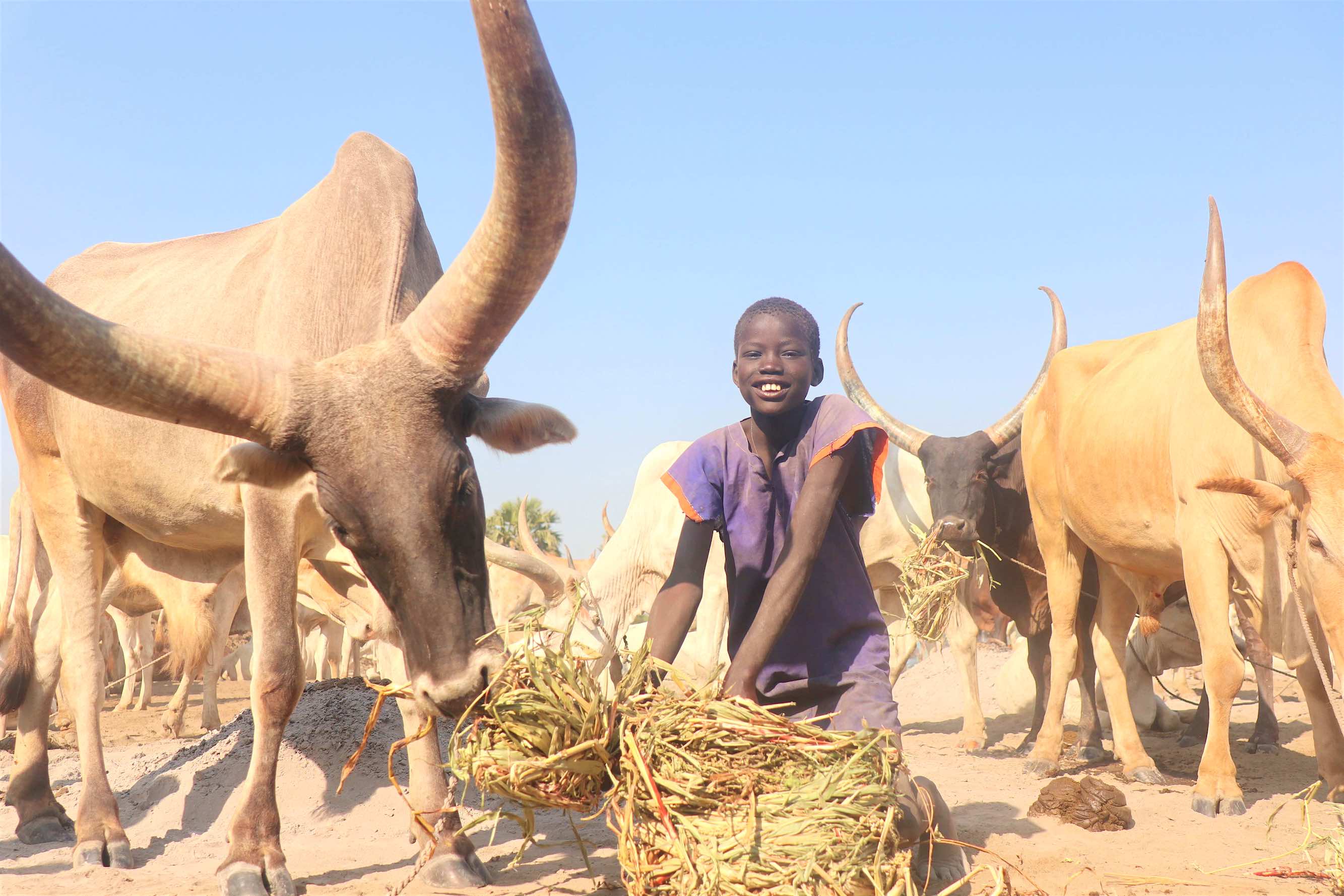 Safe grazing environment frees South Sudan’s young pastoralists from danger South Sudan